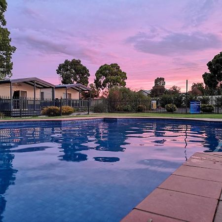 Big4 Tasman Holiday Parks - بينديجو المظهر الخارجي الصورة